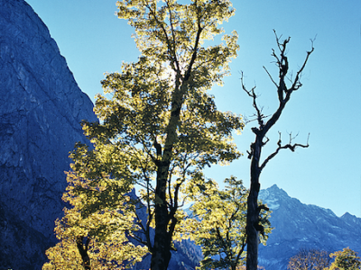 Naturfoto Willner Naturfoto Willner