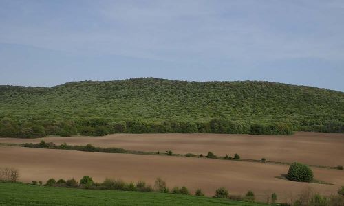 Dobrogea Rumänien Foto W. Willner P4290106
