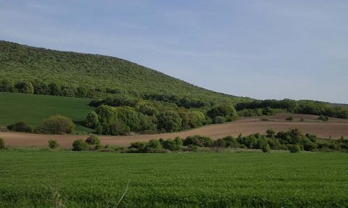 Dobrogea Rumänien Foto W. Willner P4290112