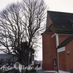 Edignalinde Foto W. Willner3