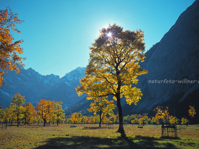 Naturfoto Willner Naturfoto Willner