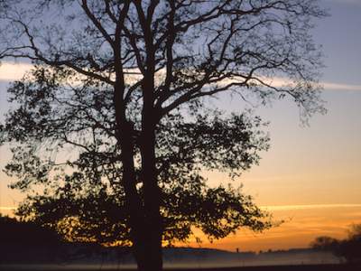 Naturfoto Willner Naturfoto Willner