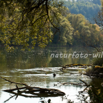 Naturfoto Willner Naturfoto Willner