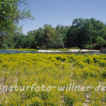 Naturfoto Willner Naturfoto Willner