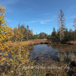 Naturfoto Willner Naturfoto Willner