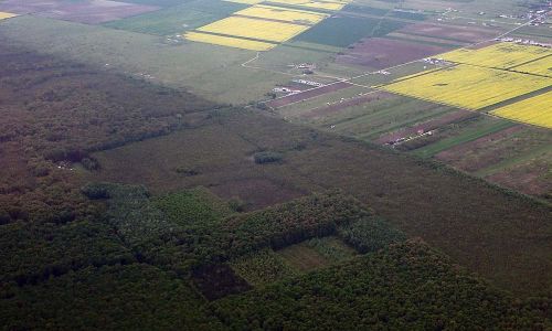 Landwirtschaftsflächen bei Bukarest Rumänien Foto W. Willner P42900565