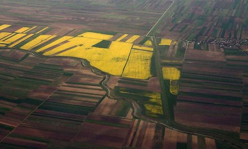 Landwirtschaftsflächen bei Bukarest Rumänien Foto W. Willner P4290060