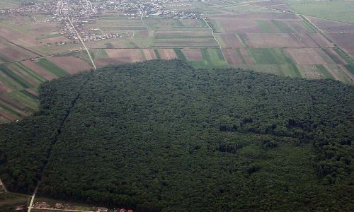 Landwirtschaftsflächen bei Bukarest Rumänien Foto W. Willner P4290063