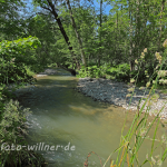 Naturfoto Willner Naturfoto Willner