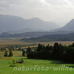 Naturfoto Willner Naturfoto Willner