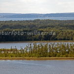 Naturfoto Willner Naturfoto Willner