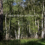 Naturfoto Willner Naturfoto Willner