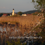 Naturfoto Willner Naturfoto Willner