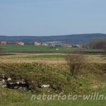 Naturfoto Willner Naturfoto Willner