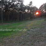 Naturfoto Willner Naturfoto Willner