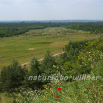 Naturfoto Willner Naturfoto Willner