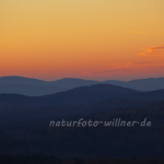 Naturfoto Willner Naturfoto Willner