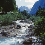 Naturfoto Willner Naturfoto Willner