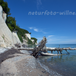 Naturfoto Willner Naturfoto Willner