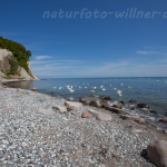 Naturfoto Willner Naturfoto Willner