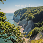 Naturfoto Willner Naturfoto Willner