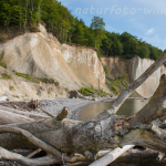 Naturfoto Willner Naturfoto Willner