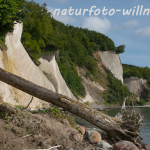 Naturfoto Willner Naturfoto Willner