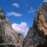Nationalpark Sutjeska Bosnien Foto W. Willner-743