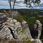 Naturfoto Willner Naturfoto Willner