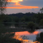 Naturfoto Willner Naturfoto Willner