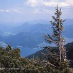 Walchensee Naturfoto Willner 634