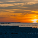 Abendstimmung bei Zingst Foto W. Willner 32608