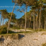 Nationalpark Darss_2016-07-20_1910_C0005_000023