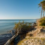 Nationalpark Darss_2016-07-20_1910_C0005_000477