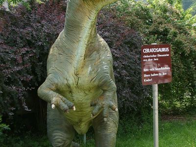 Sauriermodell Ceratosaurus 2 Foto W. Willner