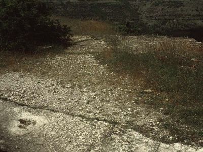 Saurierspuren Nationalpark Cevennen Frankreichg