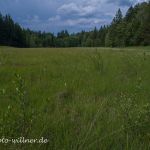 Babenstubener Moor NSG Foto W. Willner DJI_0114