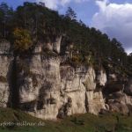 Bayerbachstal bei Pottenstein Jurafelsen Fänkische Schweiz Foto W. Willner 775