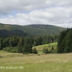Bayerischer Wald 3 Foto W. Willner