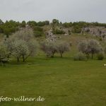 Cheile Dobrogei Rumänien Dobrogea Foto W. Willner Naturfoto WillnerIMG_9425