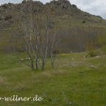 Cheile Dobrogei Rumänien Dobrogea Foto W. Willner_2017-08-15_0823_C0000_000022