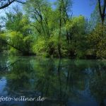 Donaualtwasser 9 Foto W. Willner