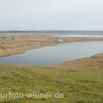 Donaudelta Foto W. Willner_2017-08-15_0239_C0002_000022
