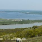Donaudelta Foto W. Willner_2017-08-16_0512_C0004_000023