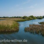 Donaudelta Foto W. Willner_2017-08-22_0741_C0000_000020