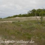 Donaudelta Letea Sanddünen Naturfoto Willner1_2017-08-21_0458_C0001_000037