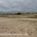 Donaudelta Letea SanddünenNaturfoto Willner1_2017-08-21_0342_C0003_000019