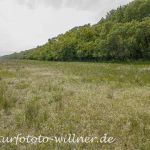 Donaudelta Letea Wald Naturfoto Willner1_2017-08-21_0521_C0000_000049