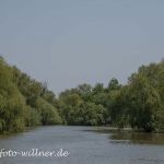 Donaudelta Naturfoto Willner DSC_0937