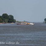 Donaudelta Naturfoto Willner DSC_1127